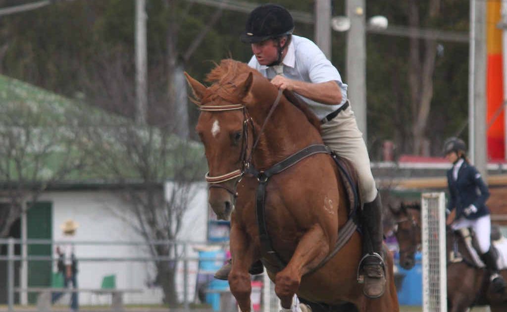 There will be plenty of horse action on at the Stanthorpe Show. There will be plenty of horse action on at the Stanthorpe Show.